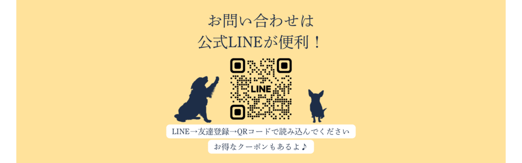公式LINE